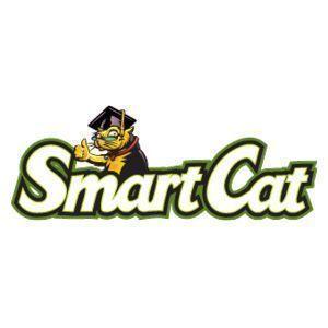 Smart Cat